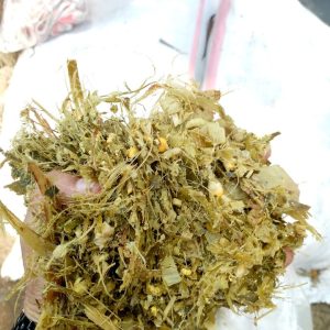 prime Silage