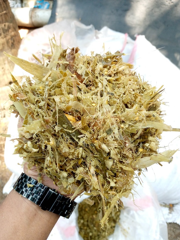 prime Silage